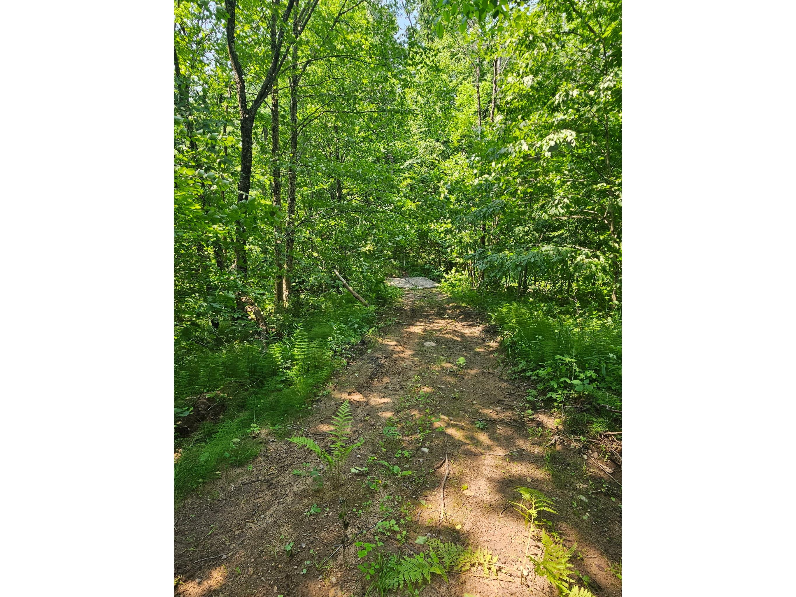 49 acres 16th Avenue Cameron WI 54822 1603187 image4