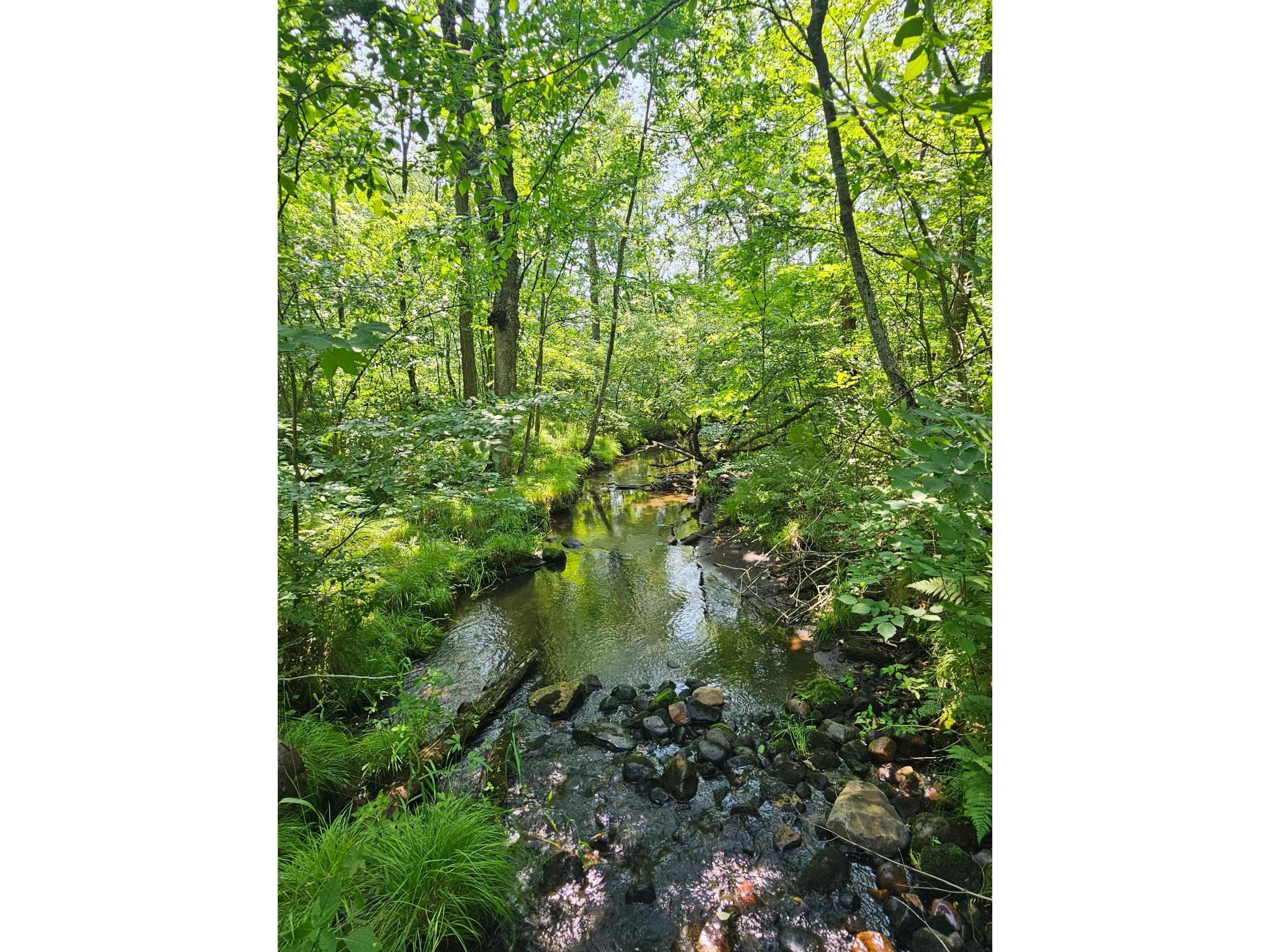 49 acres 16th Avenue Cameron WI 54822 1603187 image5