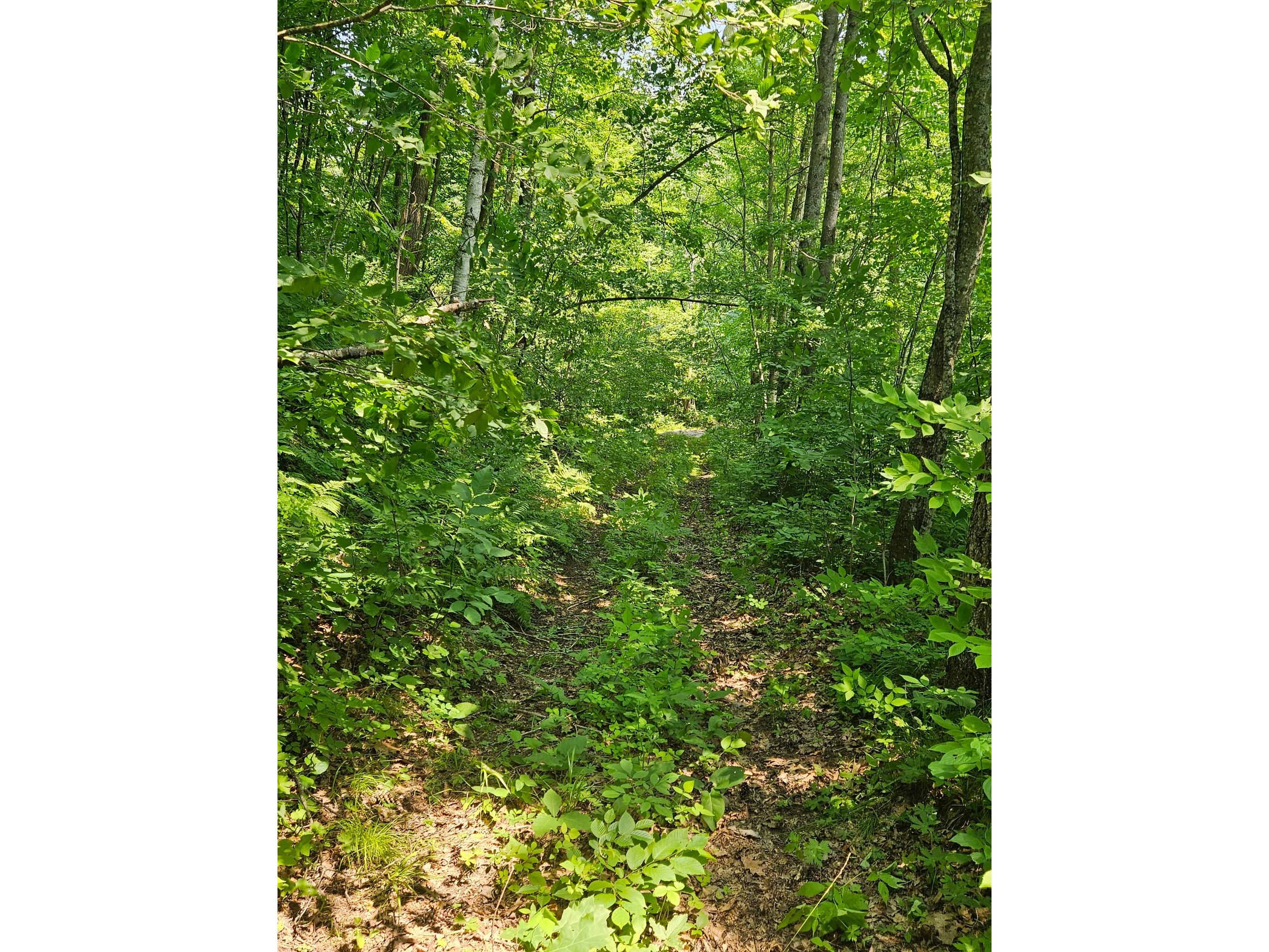 49 acres 16th Avenue Cameron WI 54822 1603187 image6