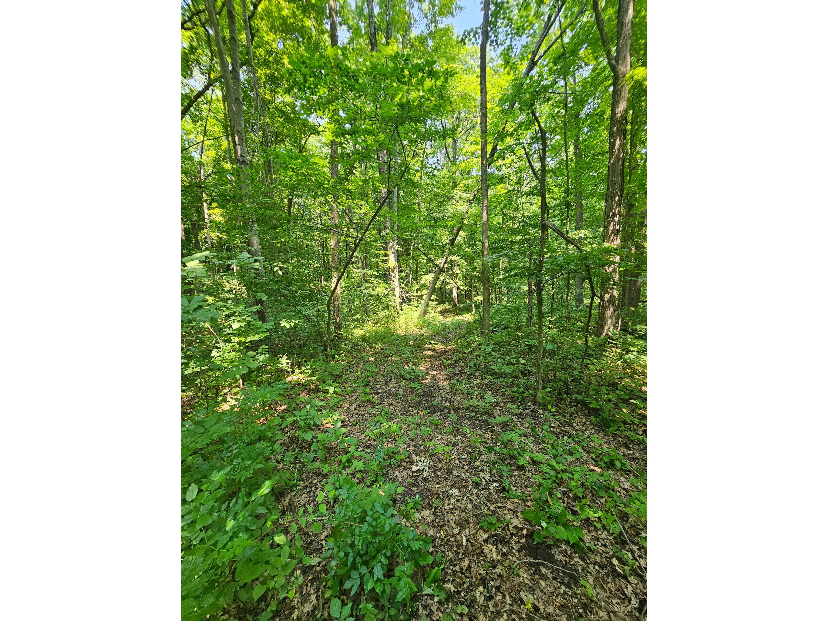 49 acres 16th Avenue Cameron WI 54822 1603187 image7