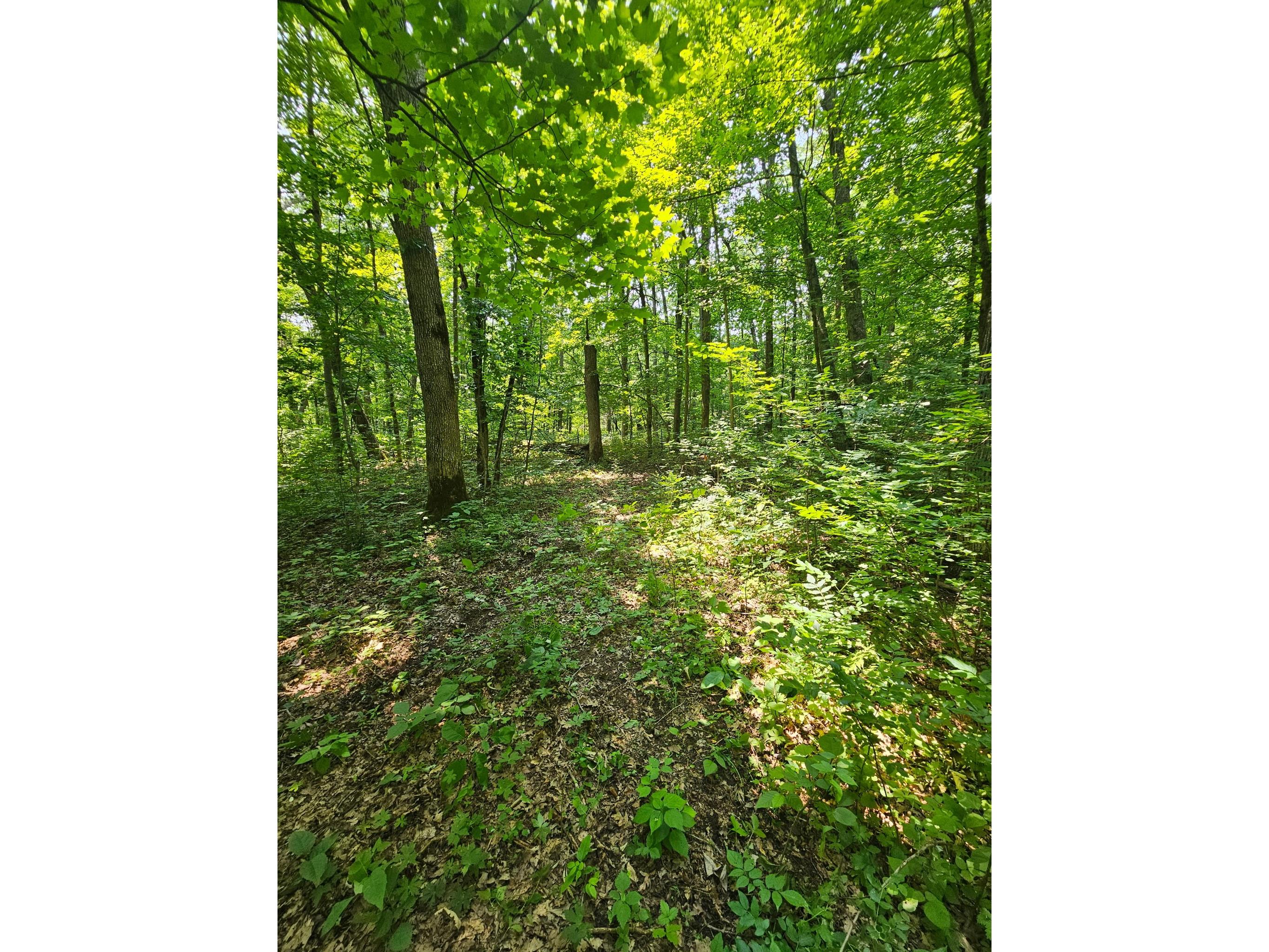 49 acres 16th Avenue Cameron WI 54822 1603187 image9