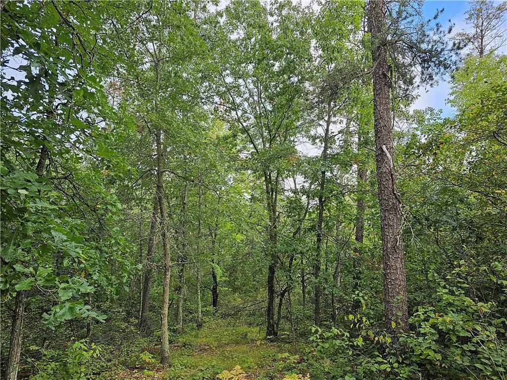 4902 Twisted Oak Trail Danbury WI 54830 - TwentySix 1576711 image1