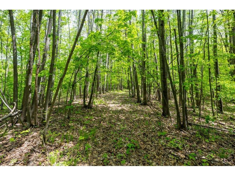 4902 W County Hwy F Springbrook WI 54875 1601595 image48