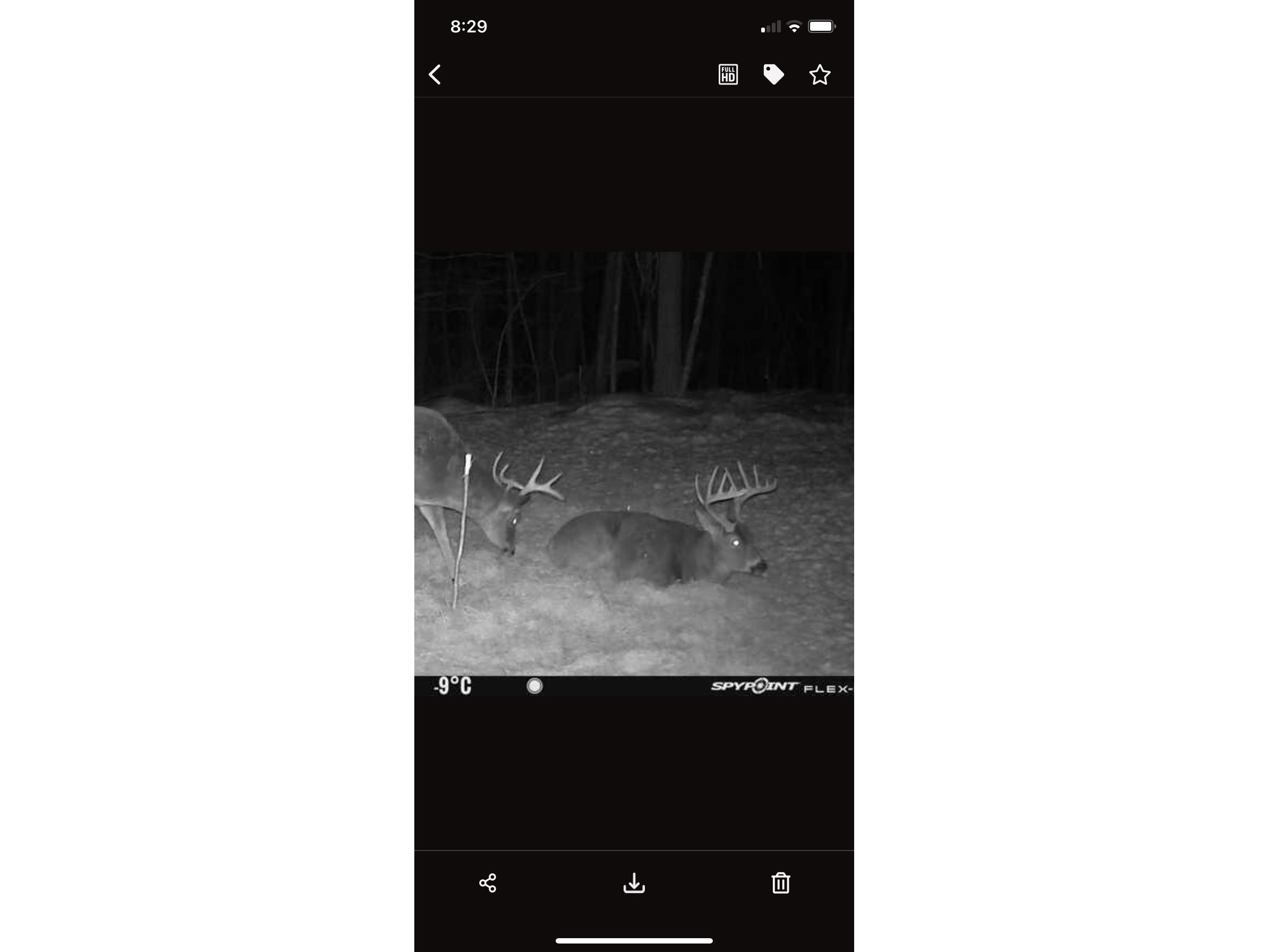4902 W County Hwy F Springbrook WI 54875 1601595 image51
