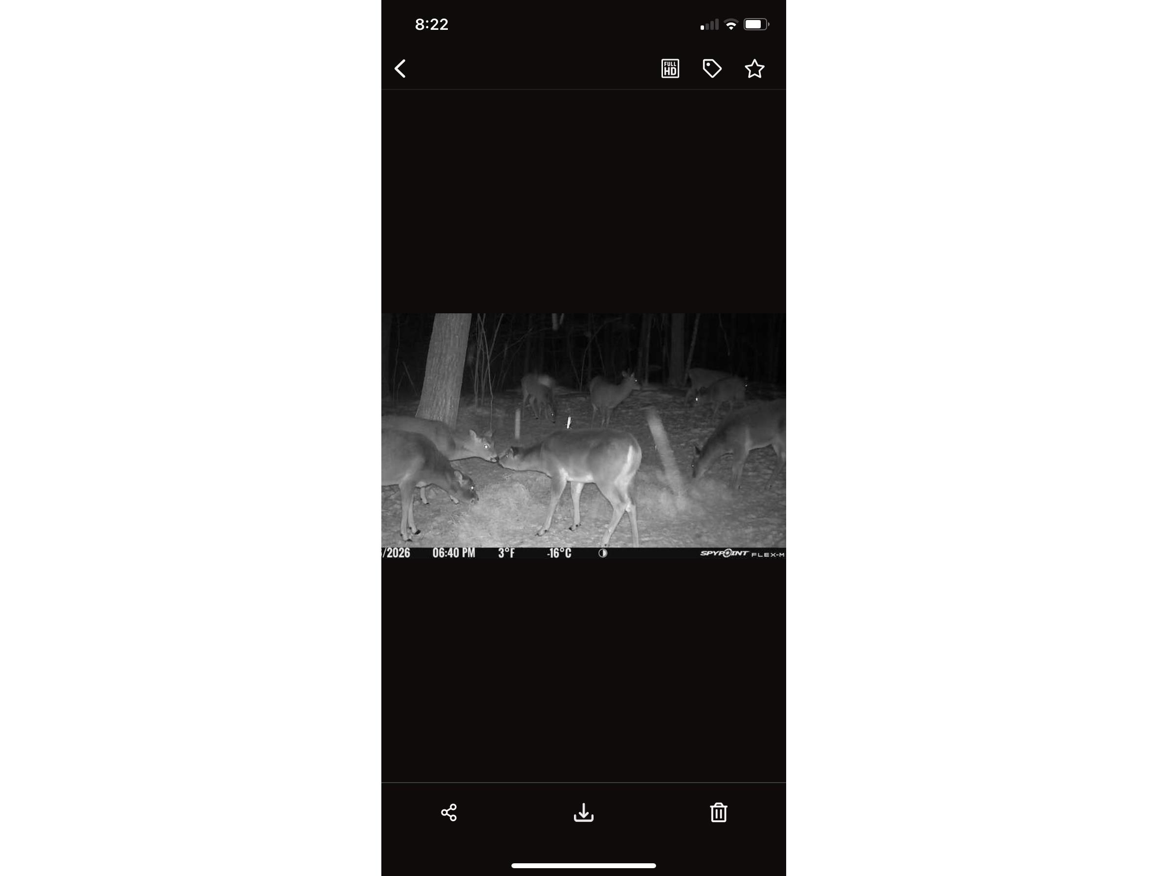 4902 W County Hwy F Springbrook WI 54875 1601595 image52
