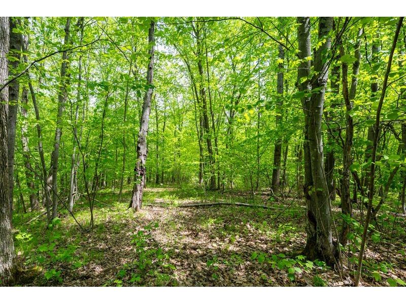4902 W County Hwy F Springbrook WI 54875 1601595 image53
