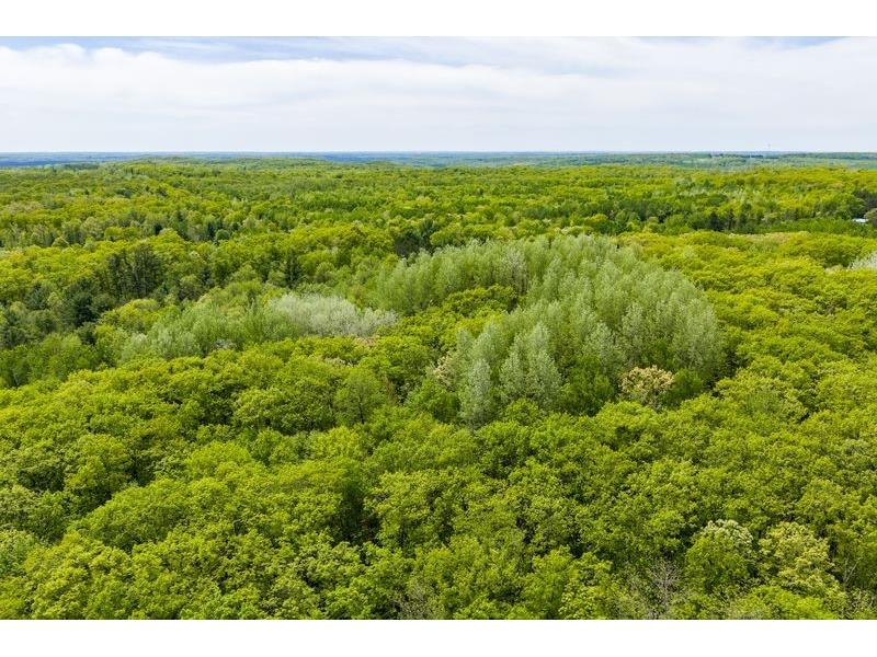 4902 W County Hwy F Springbrook WI 54875 1601595 image56