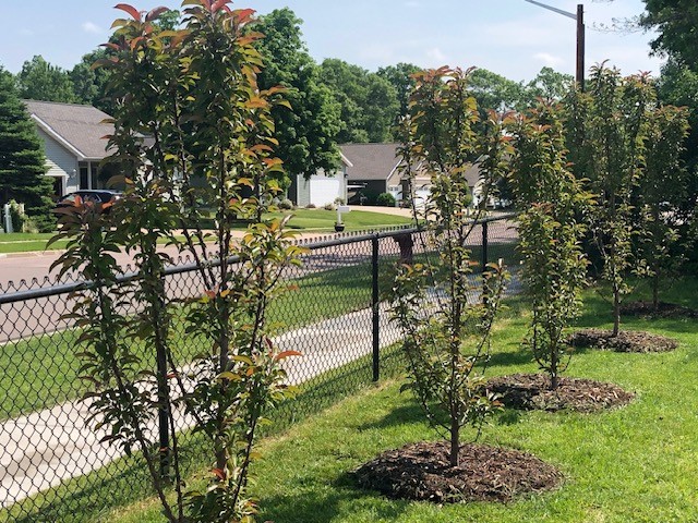 4947 Woodlands Drive Eau Claire WI 54703 1598331 image48