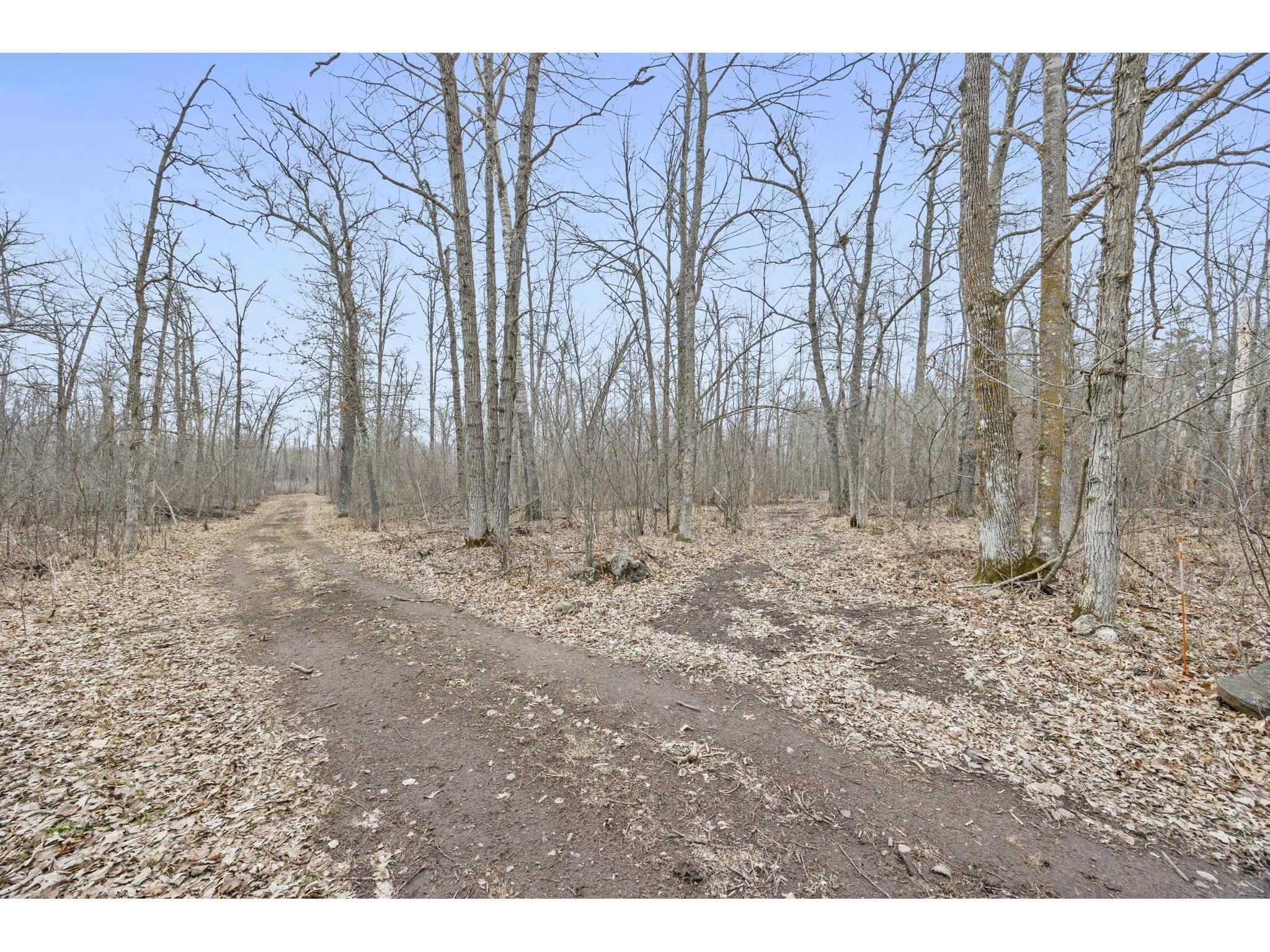 4996 Springbrook Trail Danbury WI 54830 1600074 image45