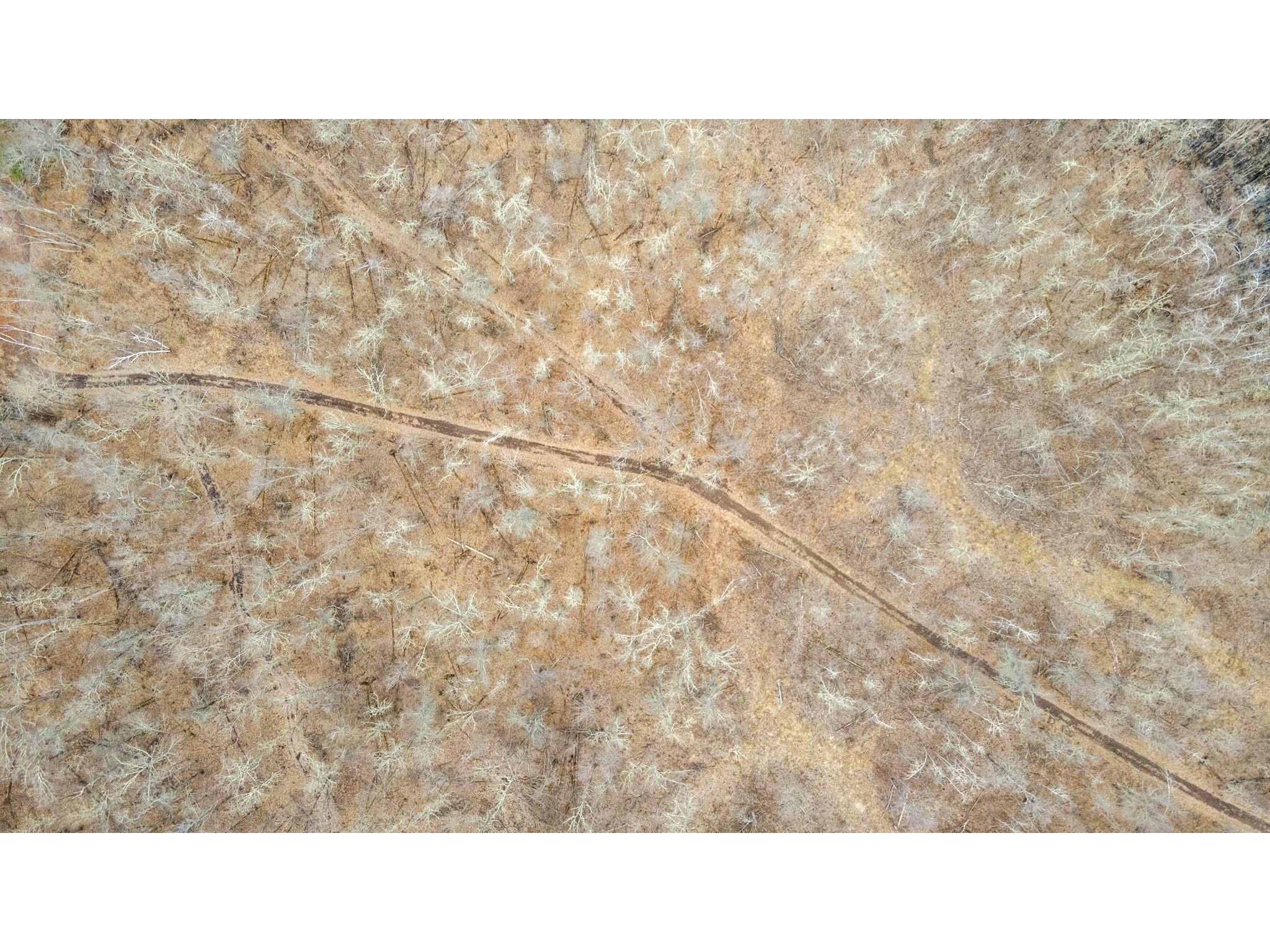 4996 Springbrook Trail Danbury WI 54830 1600074 image59