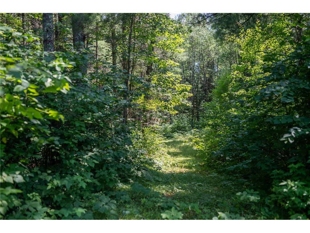 4999 N Smith Road Couderay WI 54828 1593956 image15