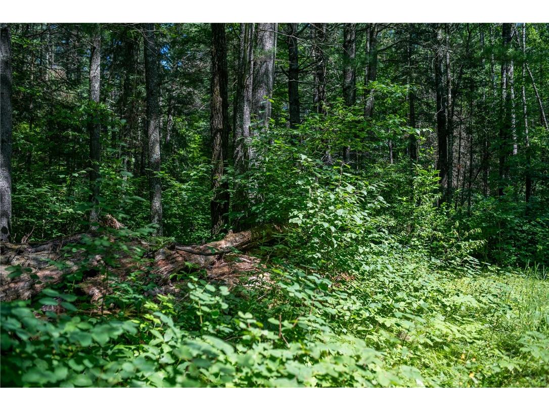 4999 N Smith Road Couderay WI 54828 1593956 image22