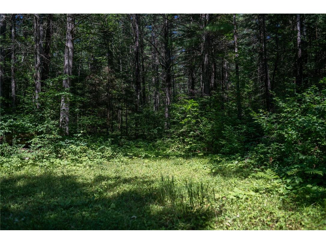 4999 N Smith Road Couderay WI 54828 1593956 image6