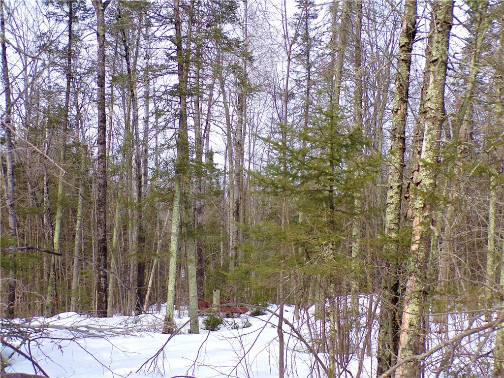 5.14 Acres on Cross Road Tony WI 54563 1571785 image1