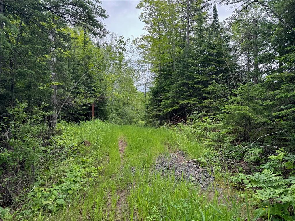5.56 acres on Evergreen Road Port Wing WI 54865 1583095 image1