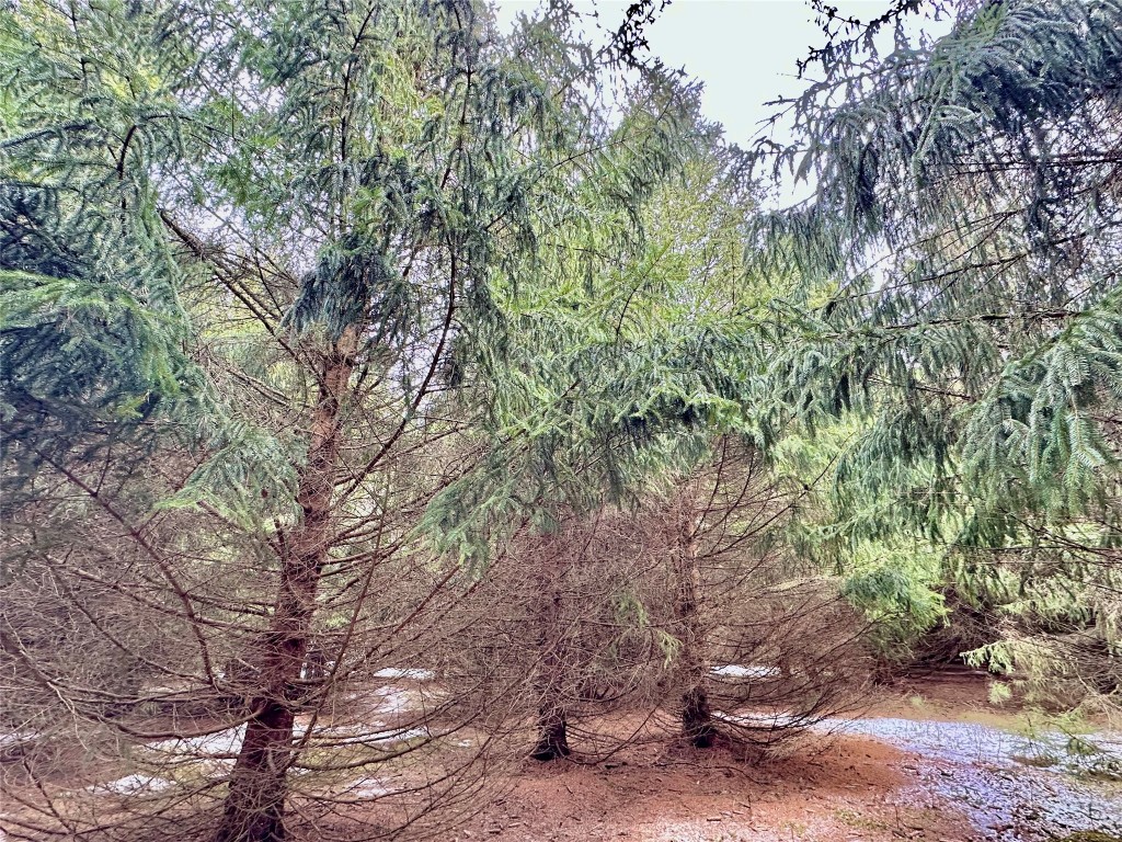 5 Acres 630th Street Colfax WI 54730 1599242 image11