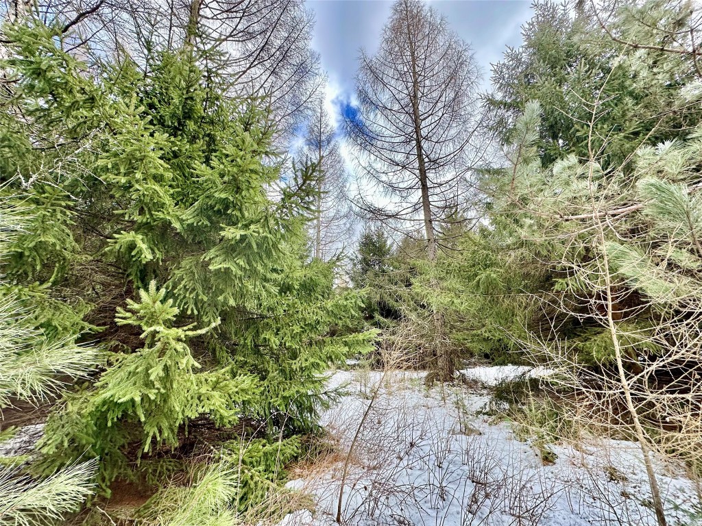 5 Acres 630th Street Colfax WI 54730 1599242 image13