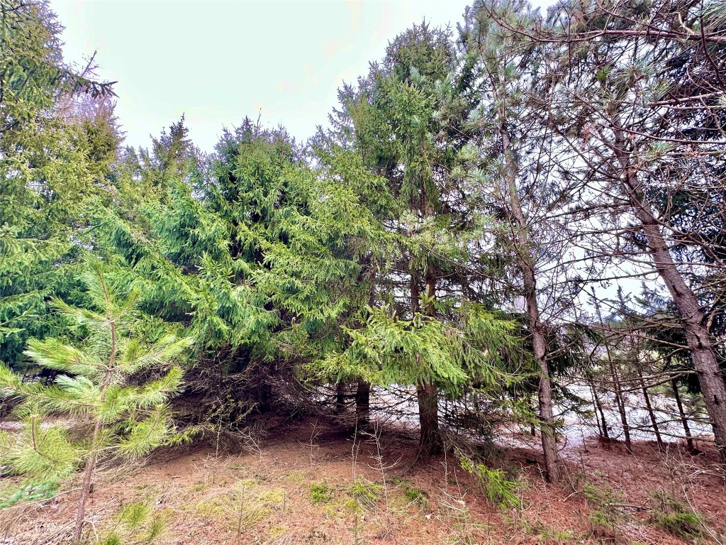 5 Acres 630th Street Colfax WI 54730 1599242 image15