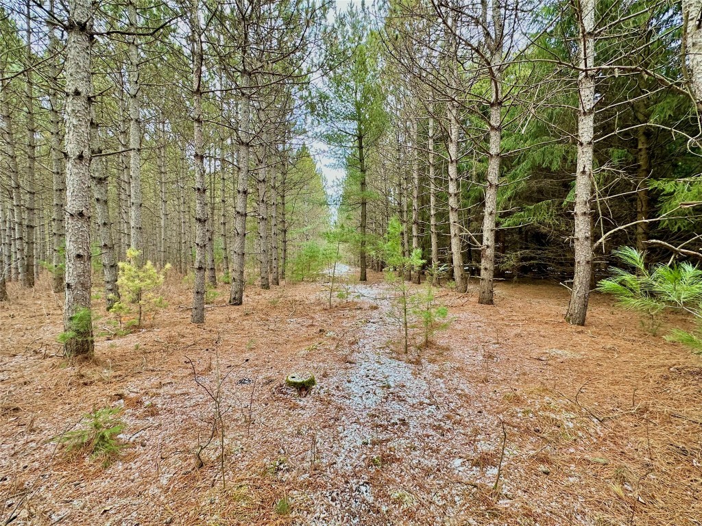 5 Acres 630th Street Colfax WI 54730 1599242 image16