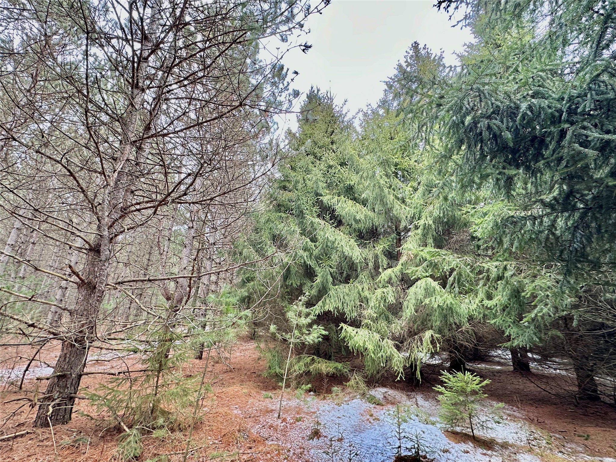 5 Acres 630th Street Colfax WI 54730 1599242 image18