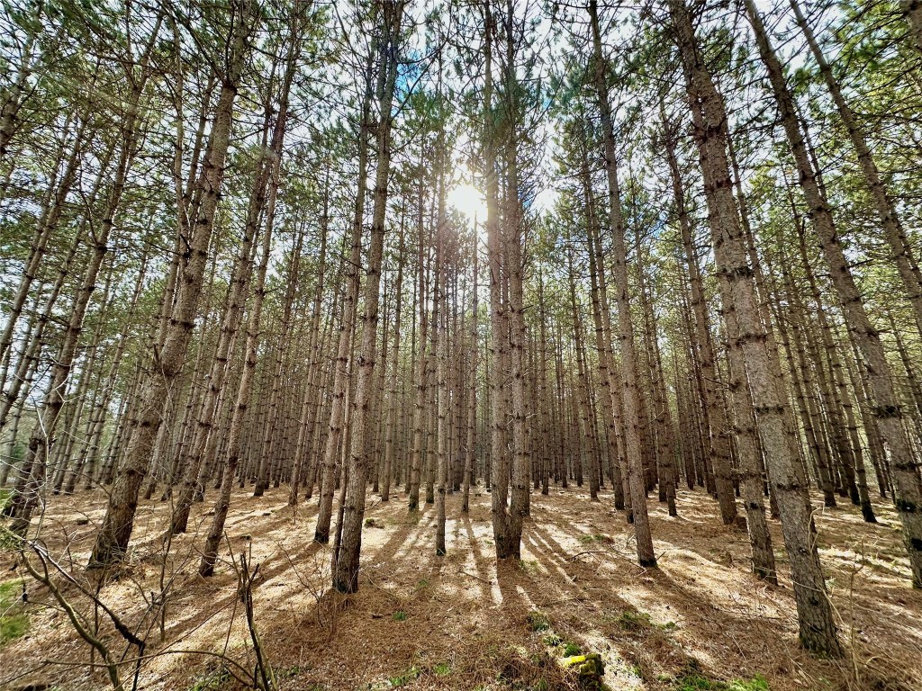 5 Acres 630th Street Colfax WI 54730 1599242 image2