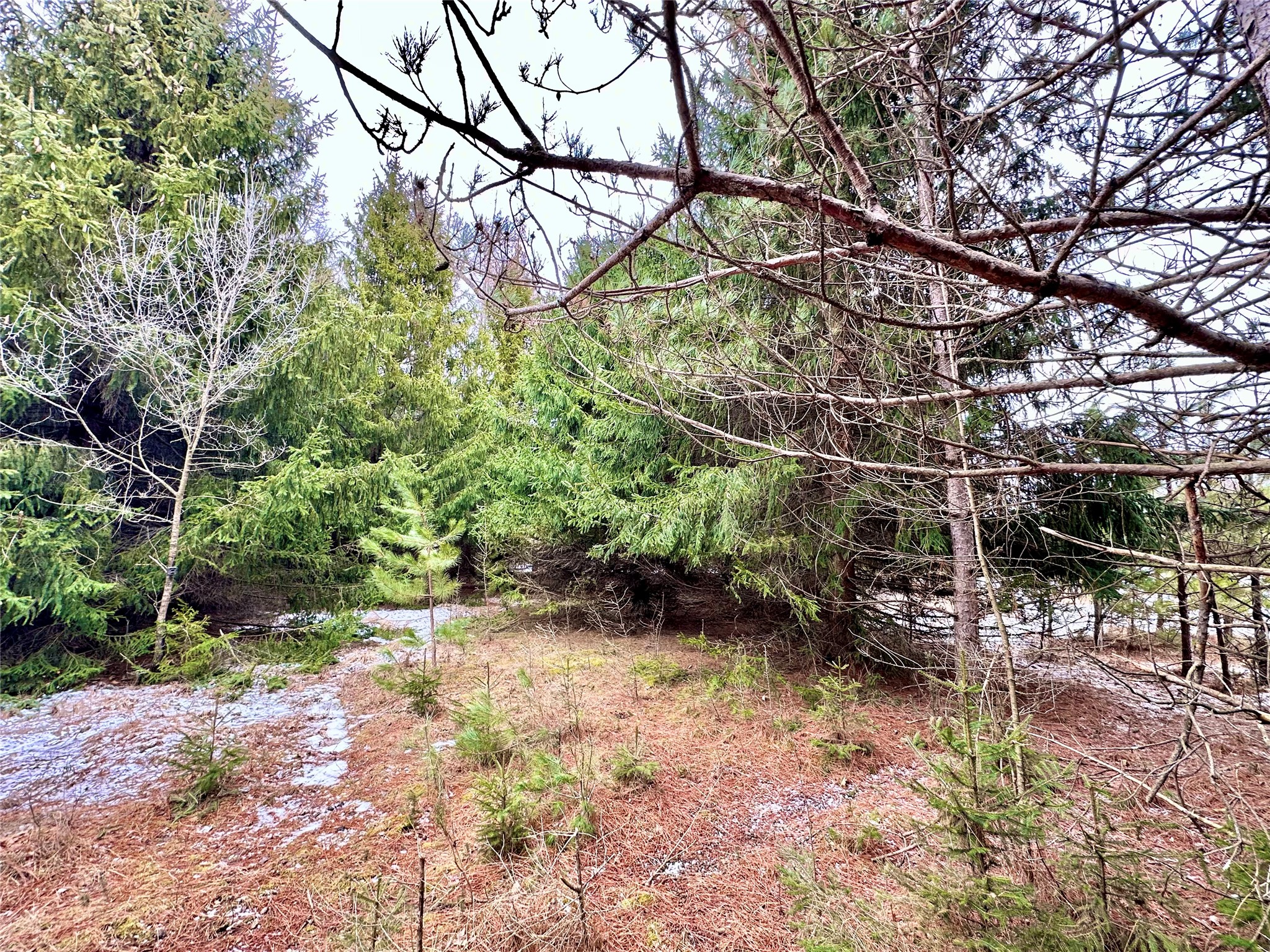 5 Acres 630th Street Colfax WI 54730 1599242 image20