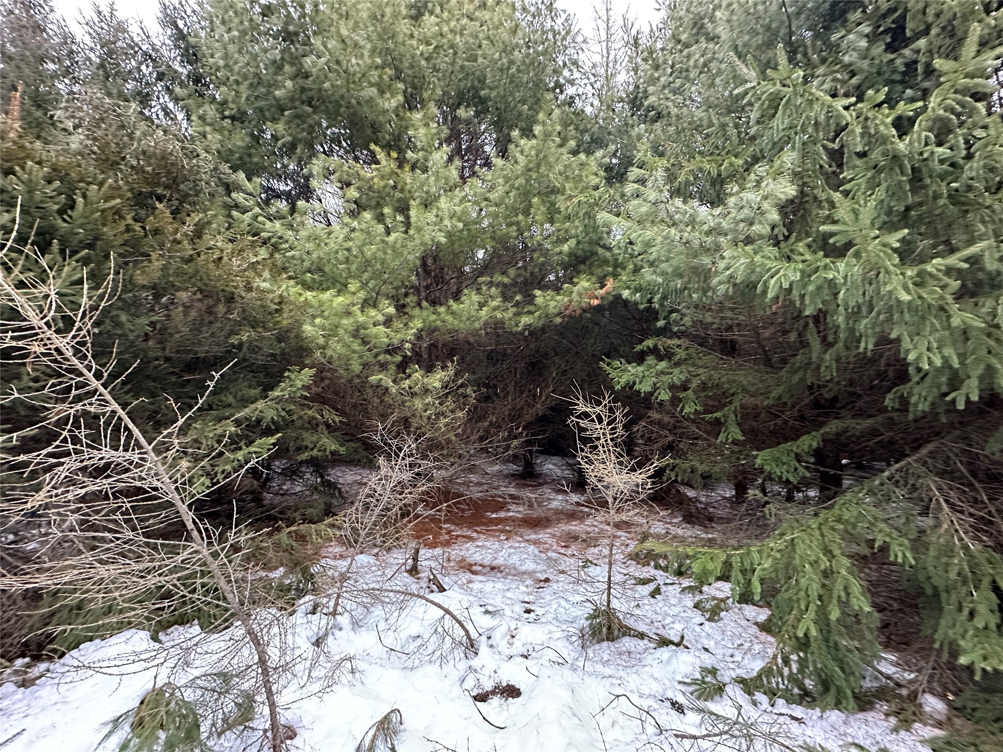 5 Acres 630th Street Colfax WI 54730 1599242 image24