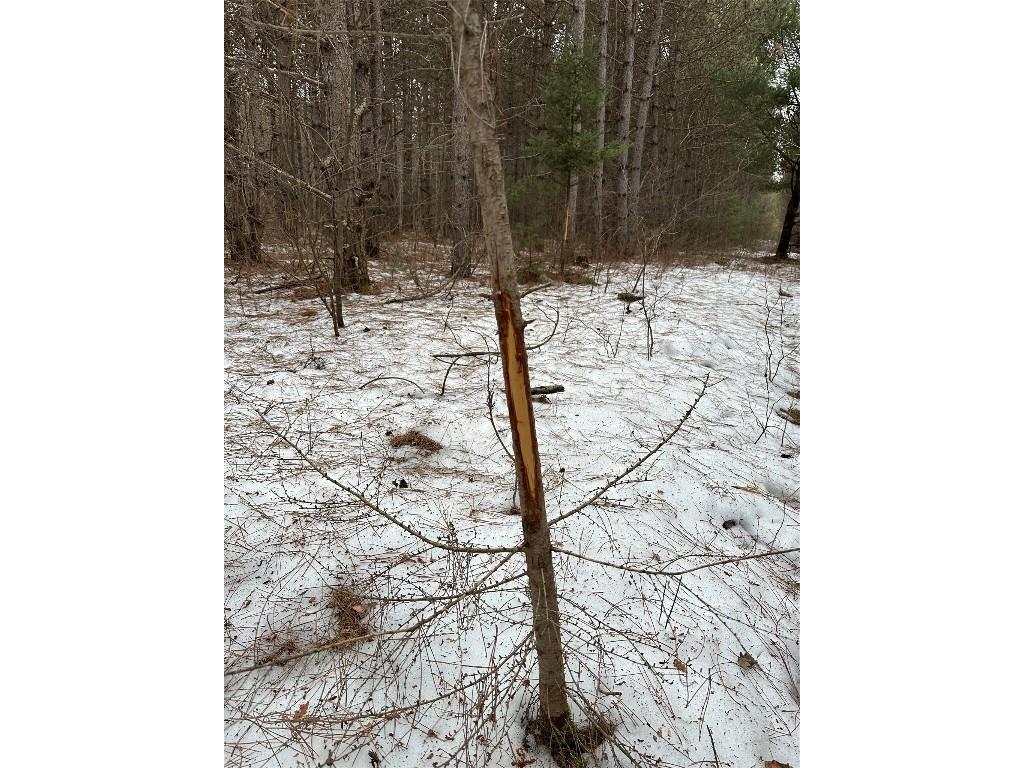 5 Acres 630th Street Colfax WI 54730 1599242 image26