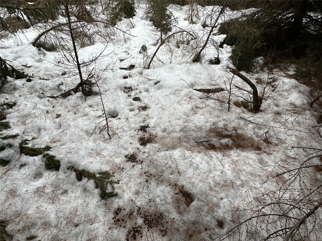 5 Acres 630th Street Colfax WI 54730 1599242 image28