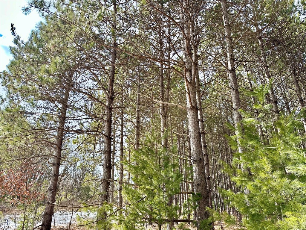 5 Acres 630th Street Colfax WI 54730 1599242 image4