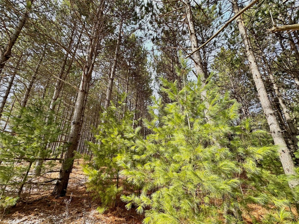 5 Acres 630th Street Colfax WI 54730 1599242 image9