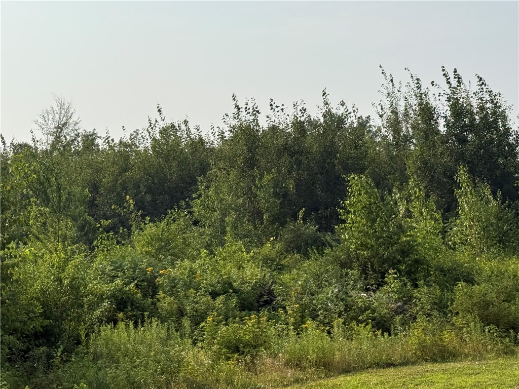 5 acres 11th Ave Chetek WI 54728 1594120 image1