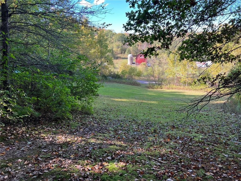 5099 Skutley Road Taylor WI 54659 1577763 image1