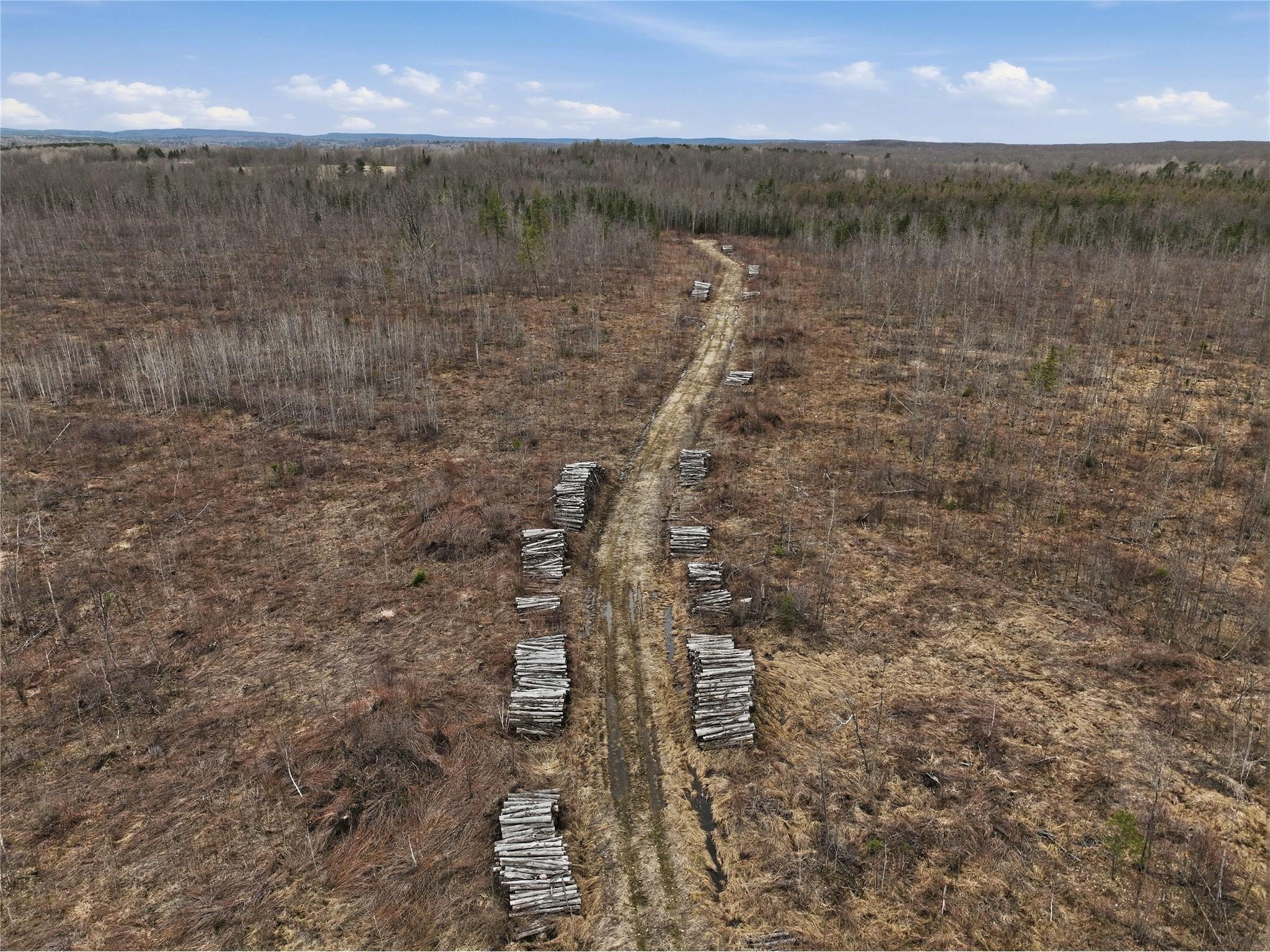 51.54 Acres Along County Road Cc Couderay WI 54828 1600168 image10