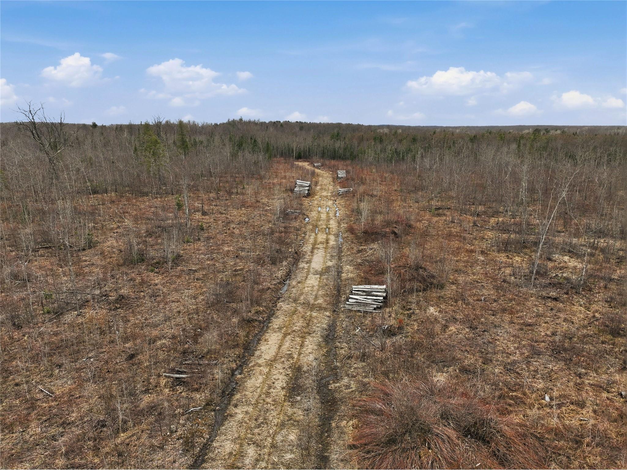 51.54 Acres Along County Road Cc Couderay WI 54828 1600168 image11