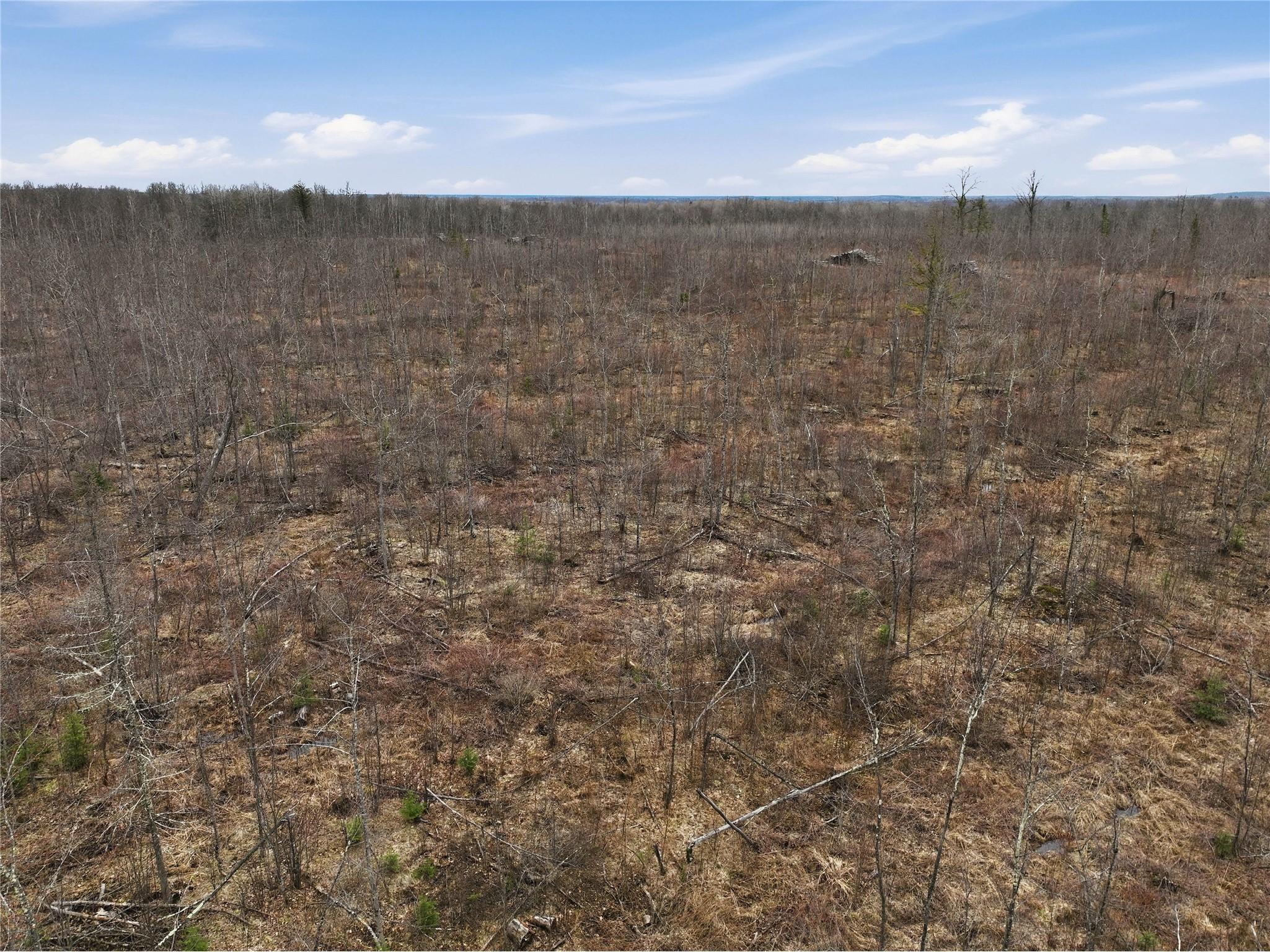 51.54 Acres Along County Road Cc Couderay WI 54828 1600168 image14