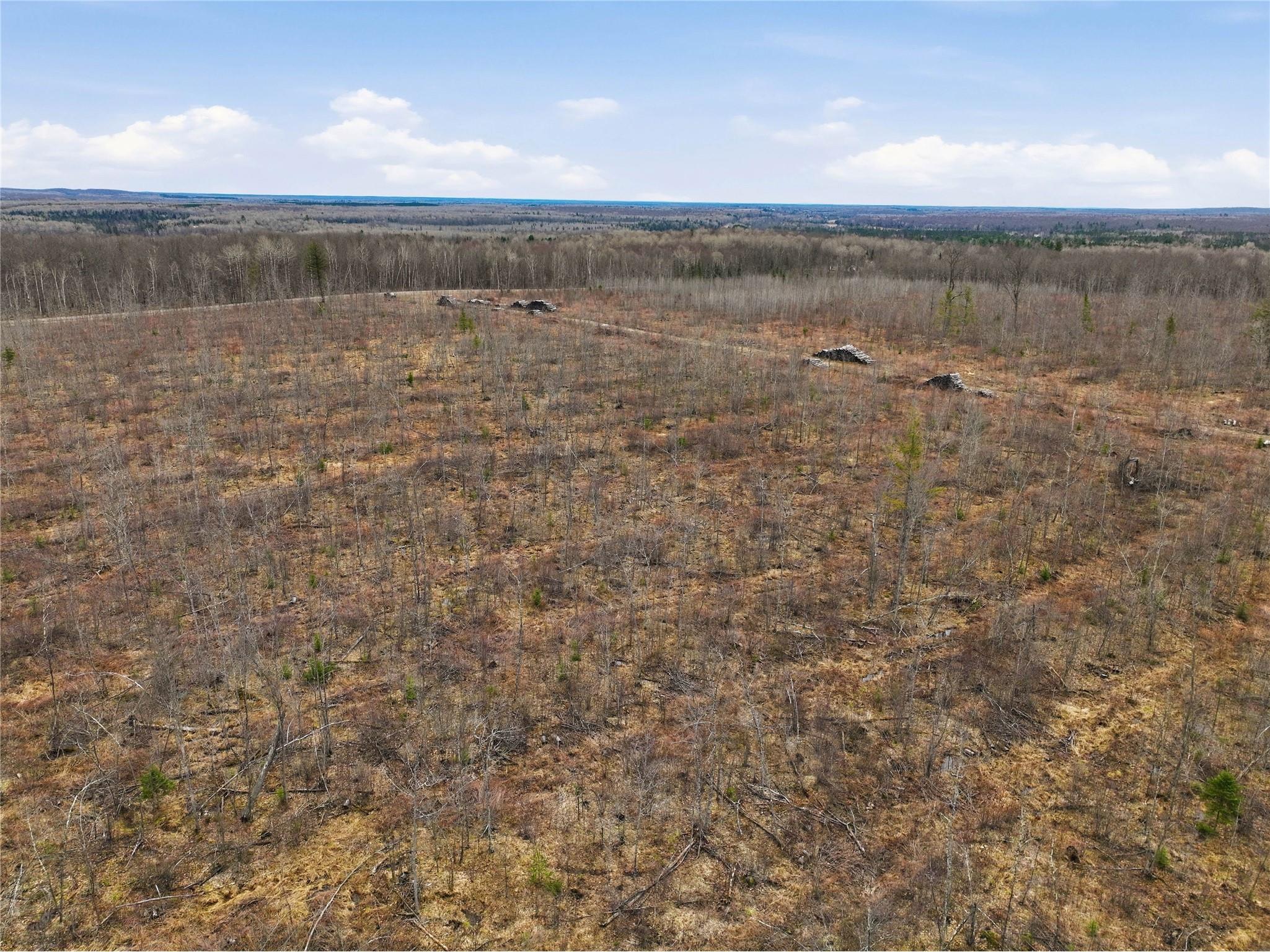 51.54 Acres Along County Road Cc Couderay WI 54828 1600168 image15