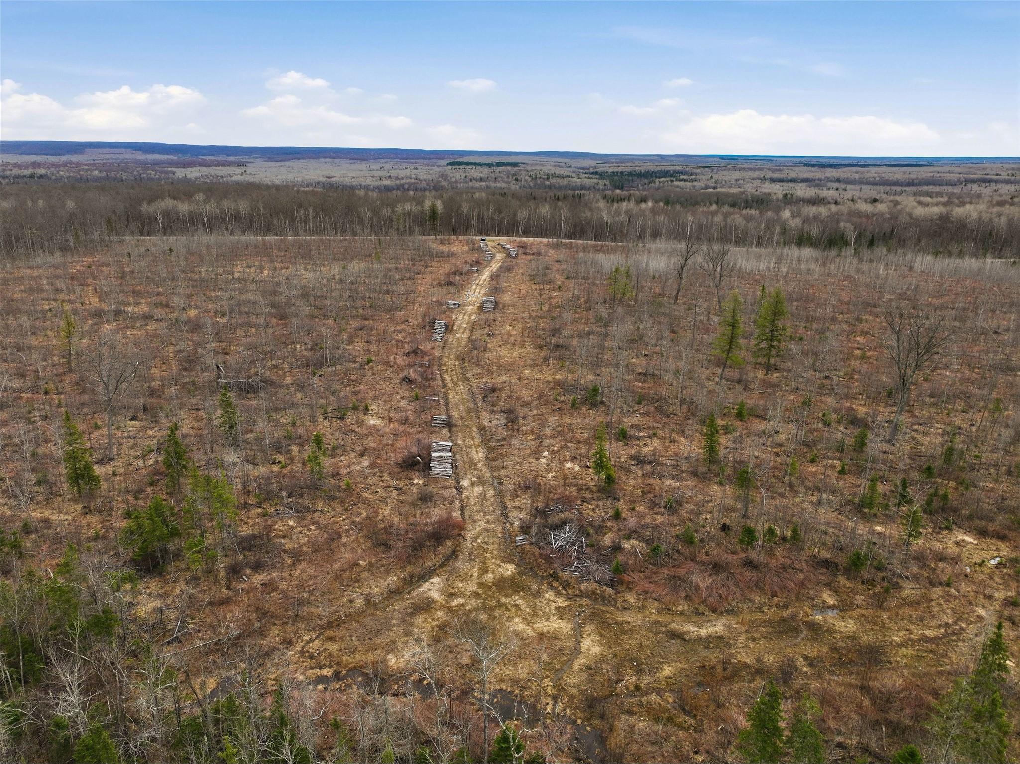 51.54 Acres Along County Road Cc Couderay WI 54828 1600168 image16