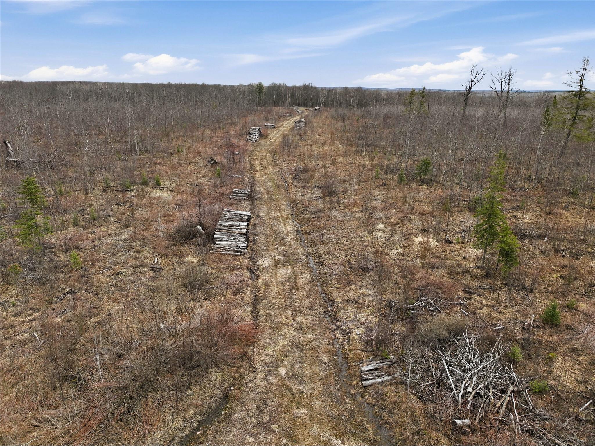 51.54 Acres Along County Road Cc Couderay WI 54828 1600168 image17