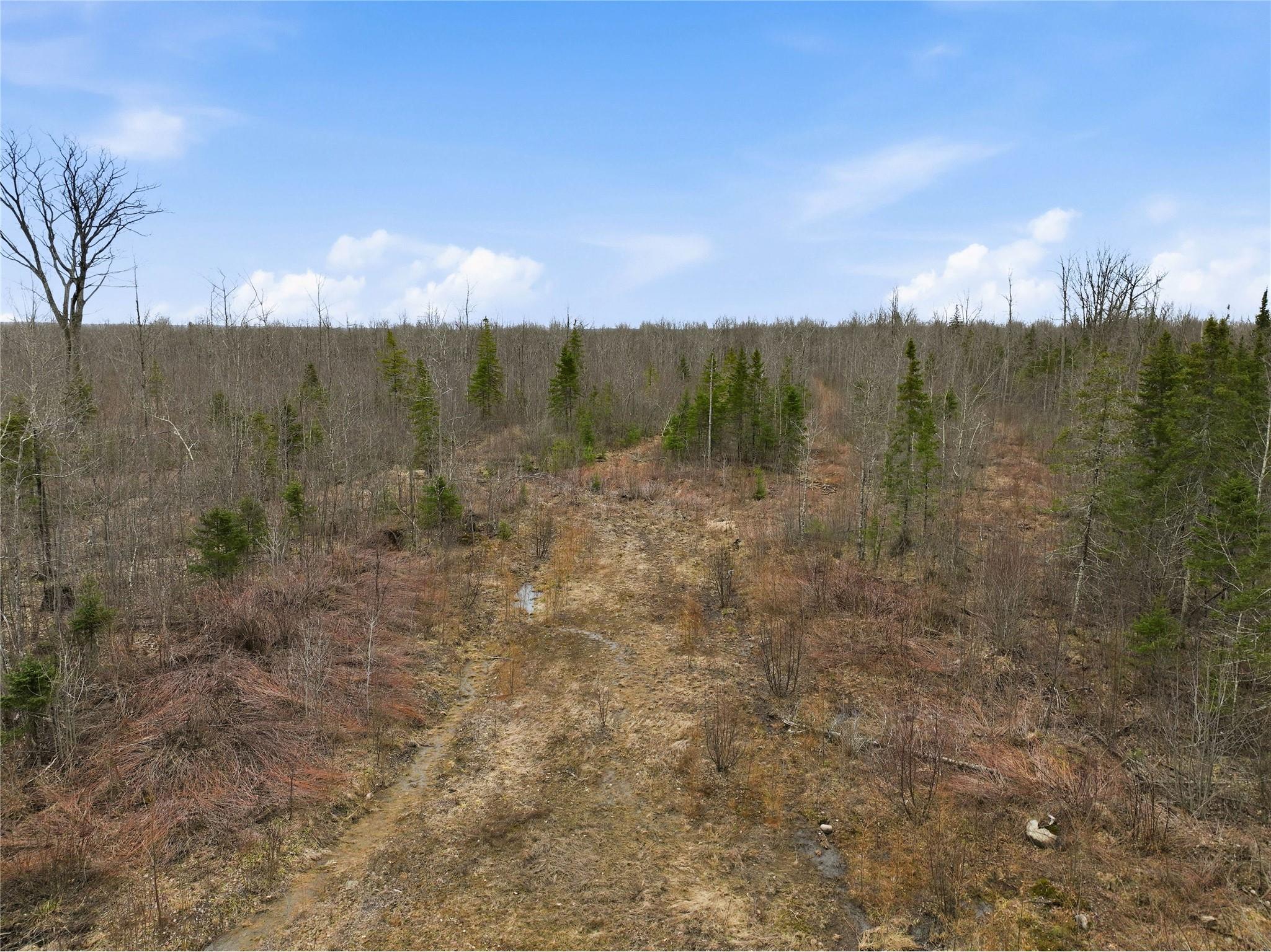 51.54 Acres Along County Road Cc Couderay WI 54828 1600168 image18