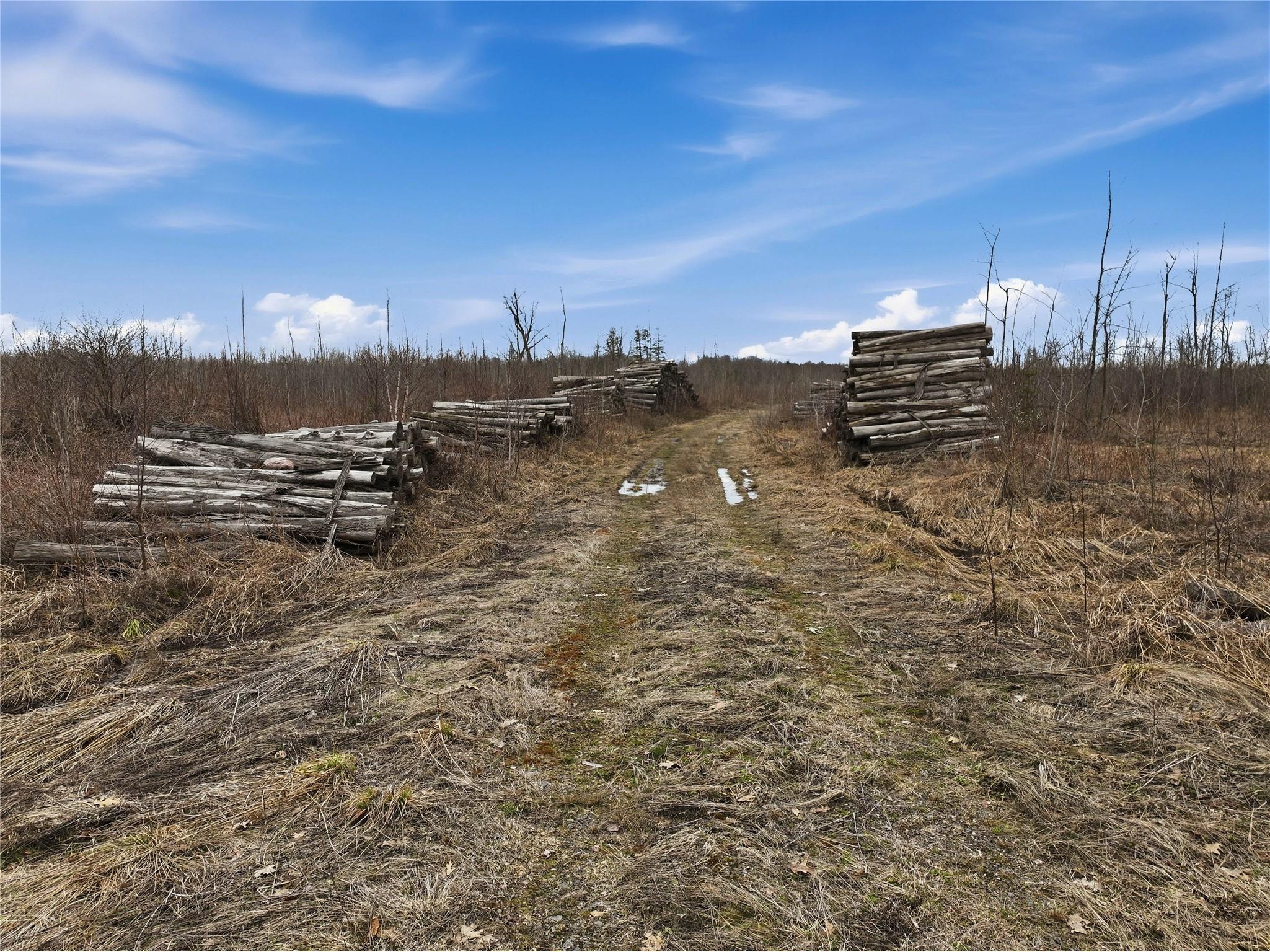 51.54 Acres Along County Road Cc Couderay WI 54828 1600168 image2