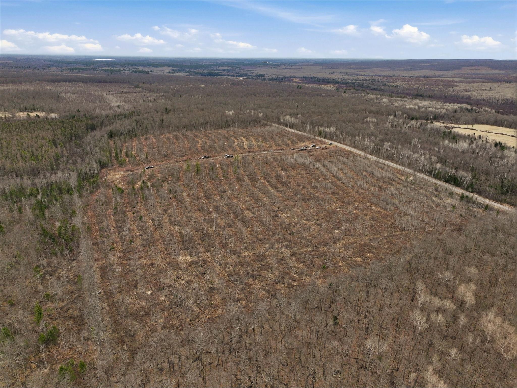 51.54 Acres Along County Road Cc Couderay WI 54828 1600168 image7