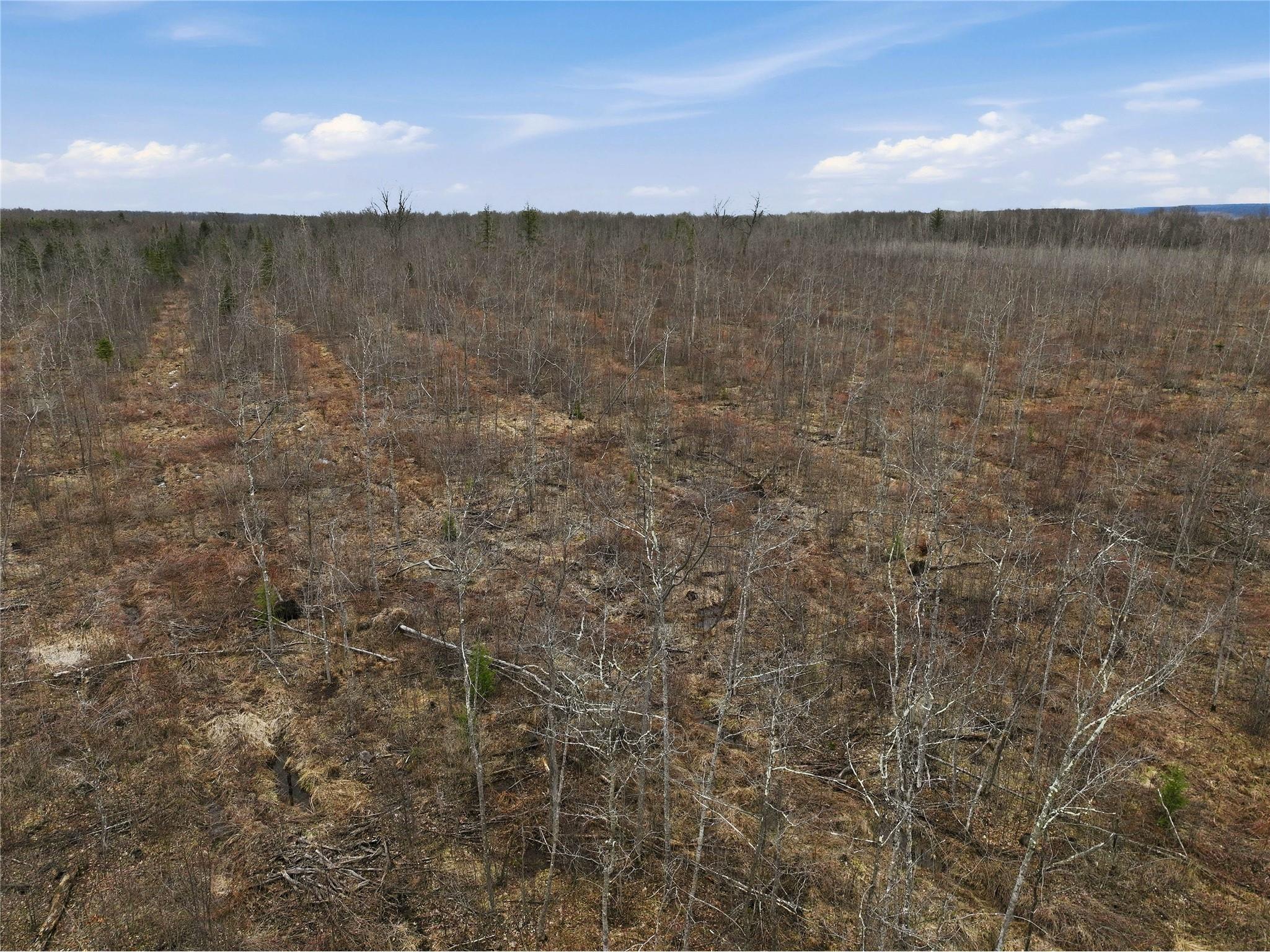 51.54 Acres Along County Road Cc Couderay WI 54828 1600168 image8