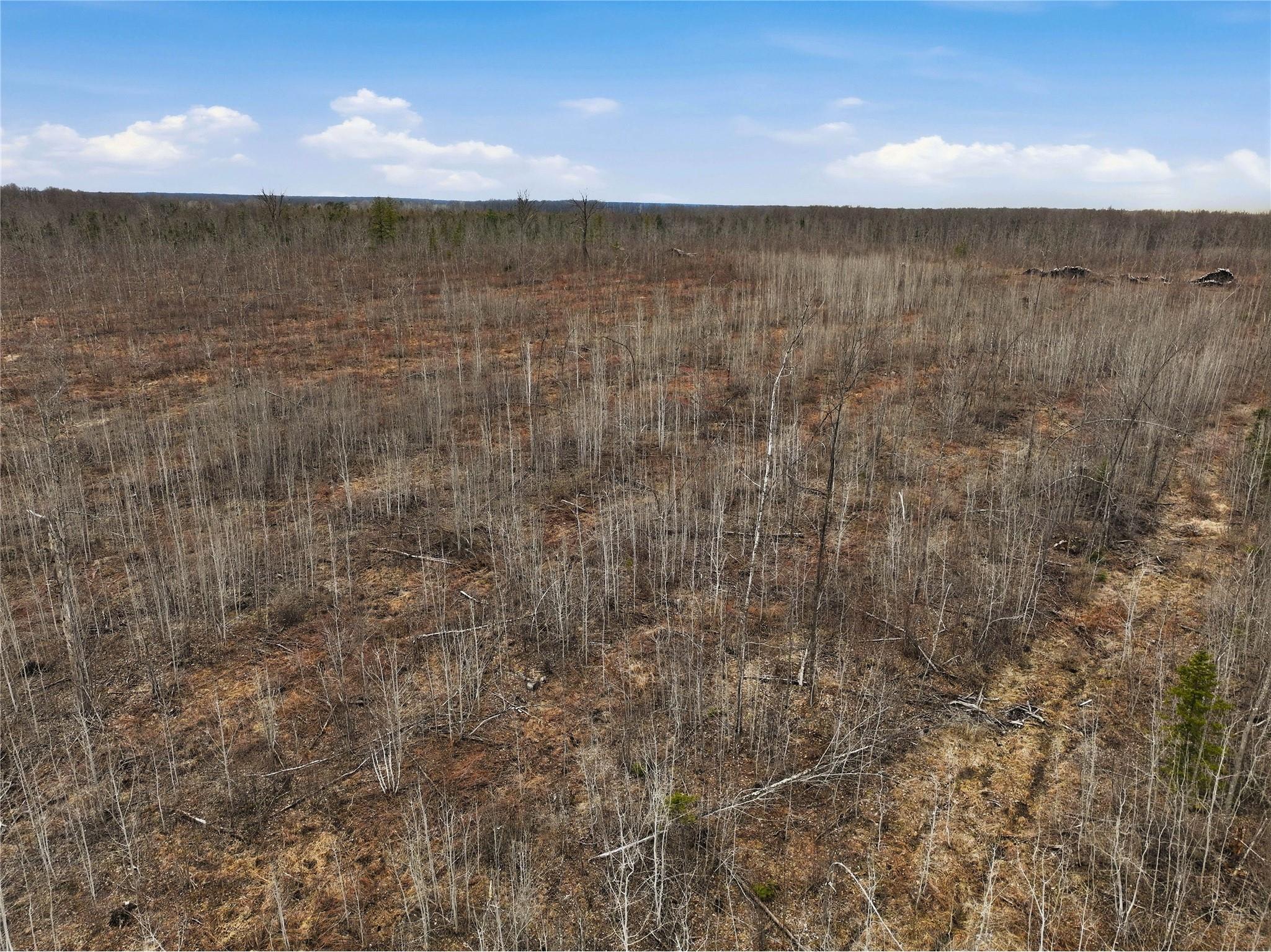 51.54 Acres Along County Road Cc Couderay WI 54828 1600168 image9