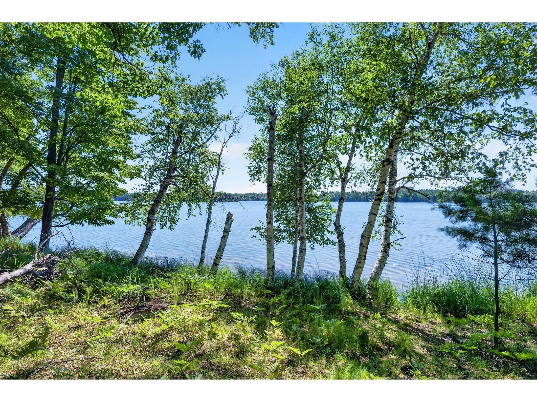 51260 Birch Lake Road Barnes WI 54873 - Birch 1603549 image1