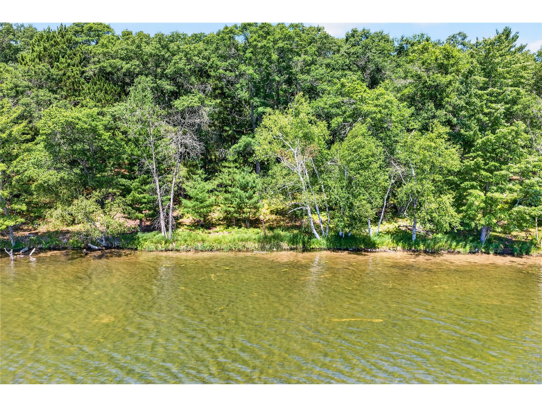51260 Birch Lake Road Barnes WI 54873 - Birch 1603549 image10
