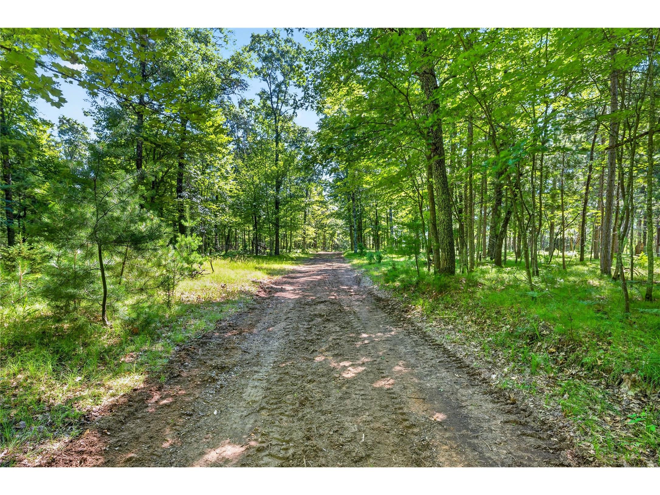 51260 Birch Lake Road Barnes WI 54873 - Birch 1603549 image13