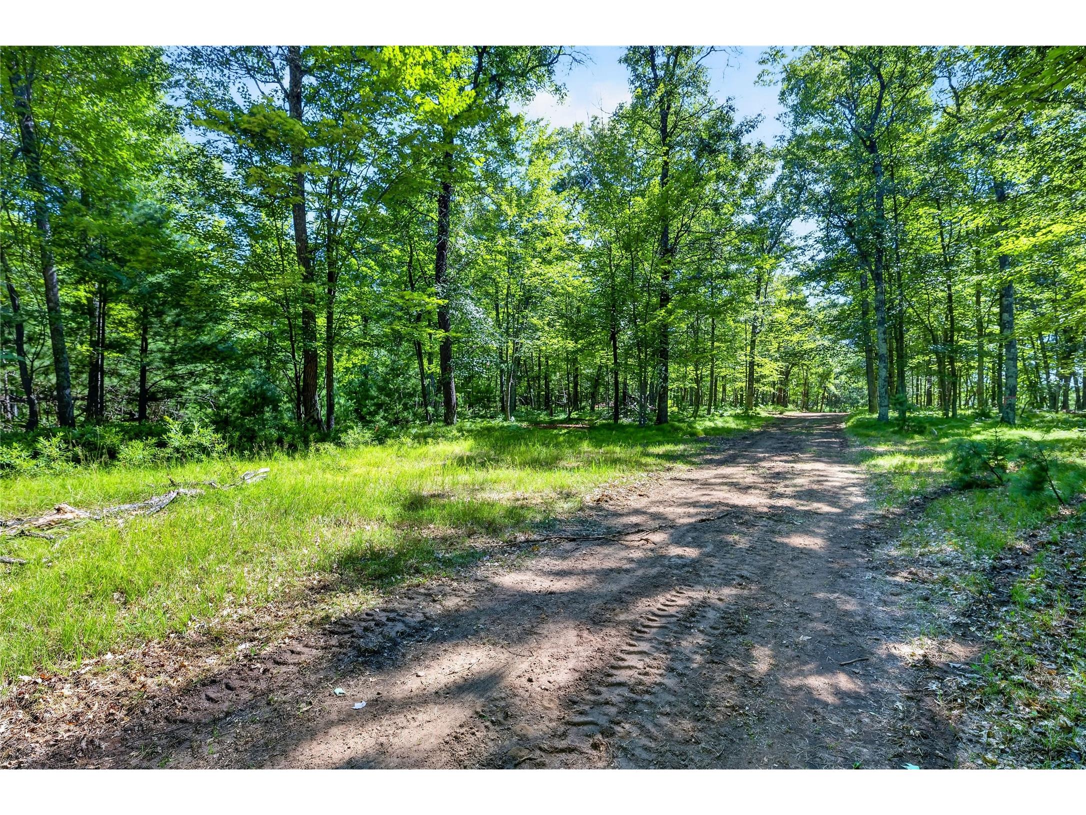 51260 Birch Lake Road Barnes WI 54873 - Birch 1603549 image14