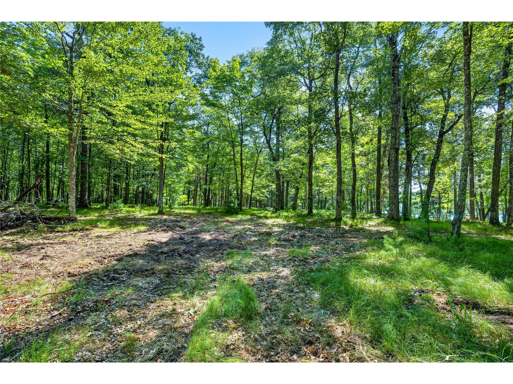 51260 Birch Lake Road Barnes WI 54873 - Birch 1603549 image15