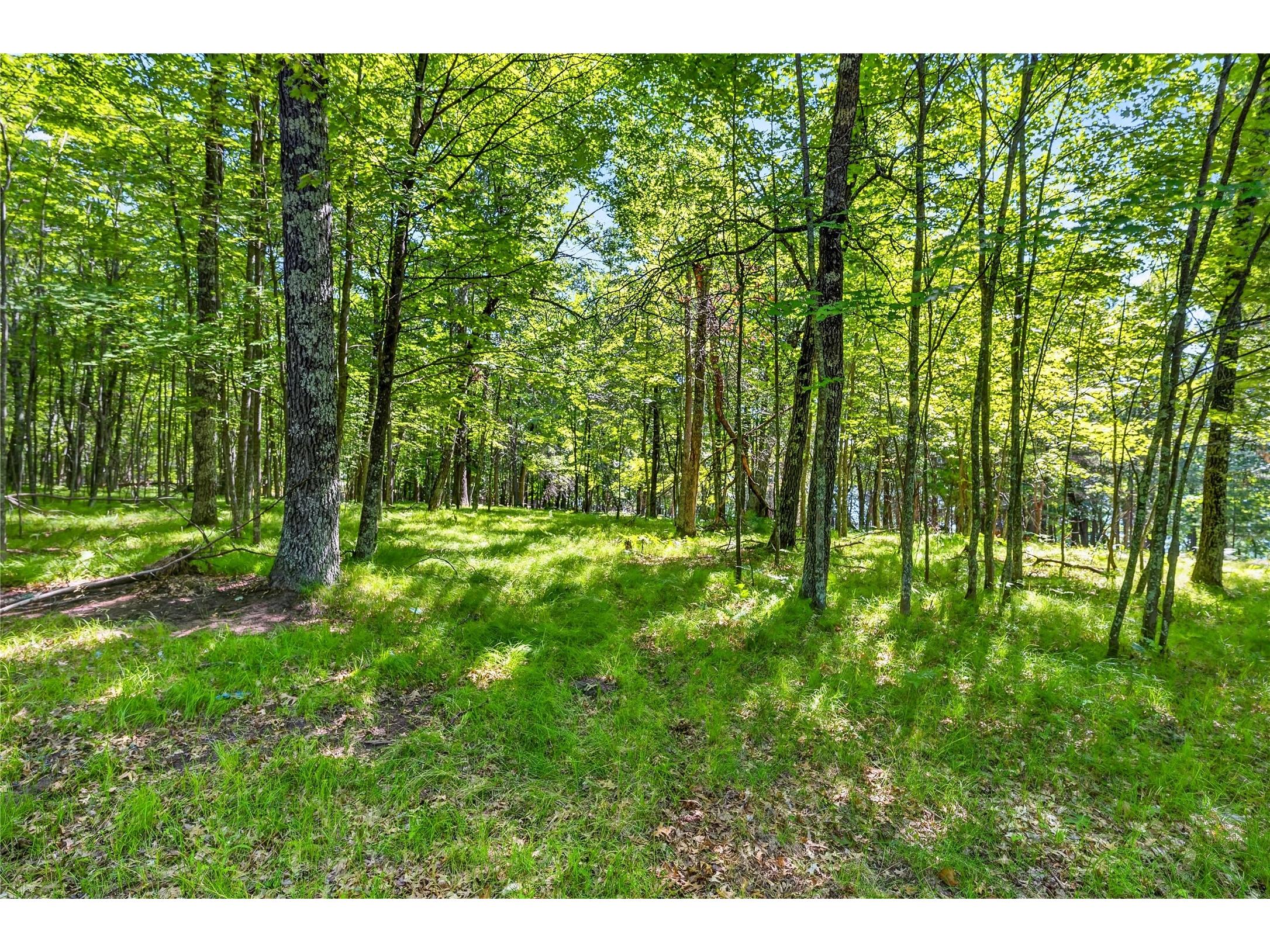 51260 Birch Lake Road Barnes WI 54873 - Birch 1603549 image16